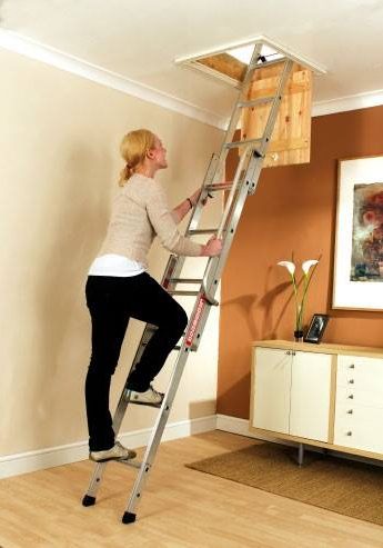 Girl climbing up metal loft ladder